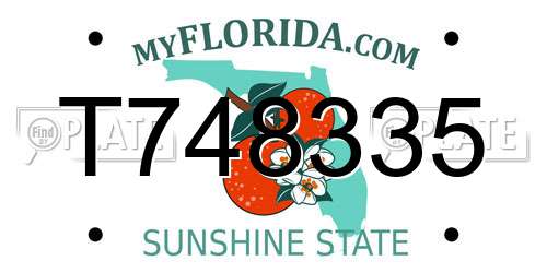 T748335 Florida License Plate