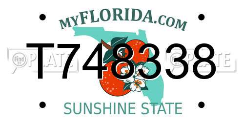 T748338 Florida License Plate