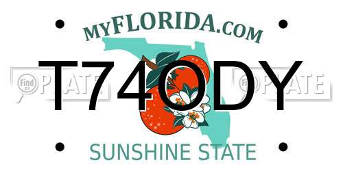 T74ODY Florida License Plate