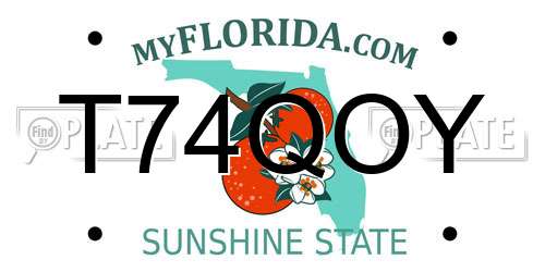 T74QOY Florida License Plate