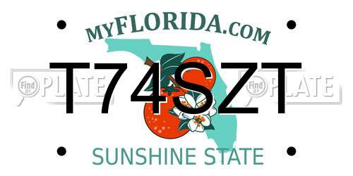 T74SZT Florida License Plate