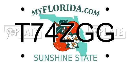 T74ZGG Florida License Plate