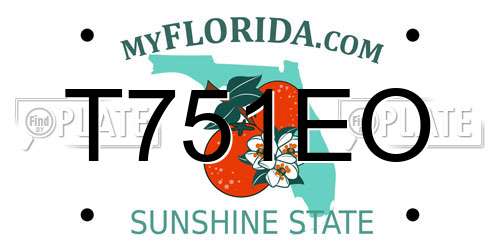 T751EO Florida License Plate