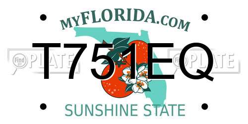 T751EQ Florida License Plate