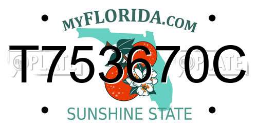 T753670C Florida License Plate