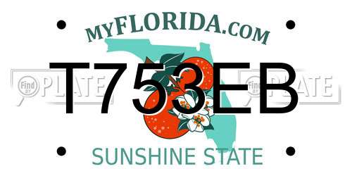 T753EB Florida License Plate