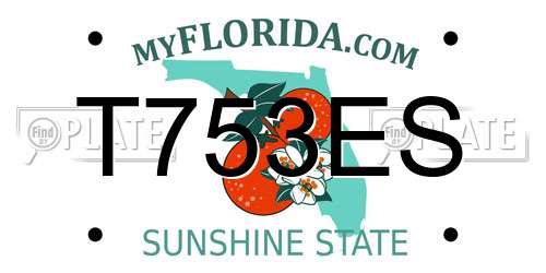 T753ES Florida License Plate