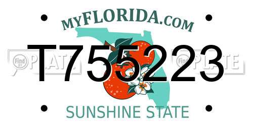 T755223 Florida License Plate