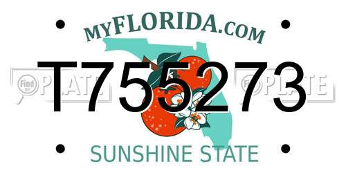 T755273 Florida License Plate