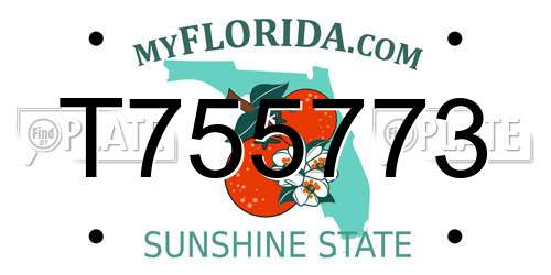 T755773 Florida License Plate