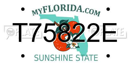 T75822E Florida License Plate