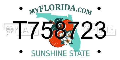T758723 Florida License Plate