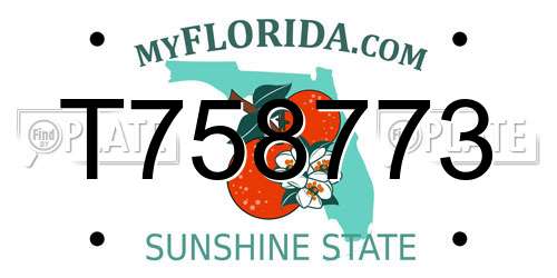 T758773 Florida License Plate