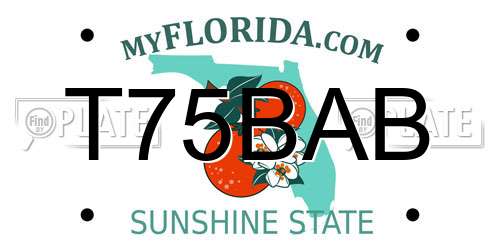 T75BAB Florida License Plate