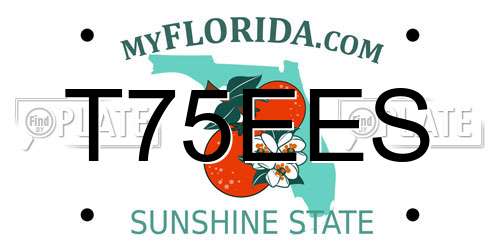 T75EES Florida License Plate
