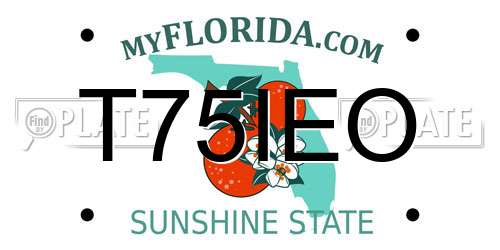 T75IEO Florida License Plate