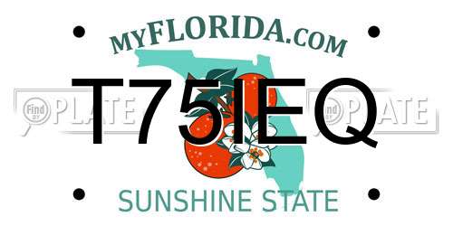 T75IEQ Florida License Plate