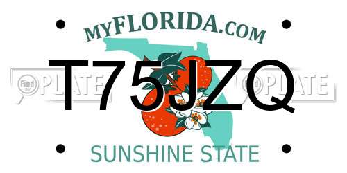 T75JZQ Florida License Plate