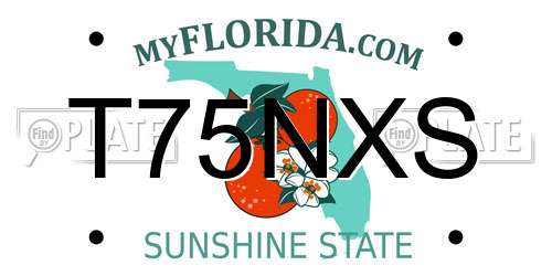 T75NXS Florida License Plate