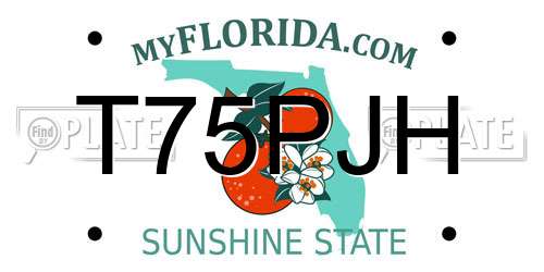 T75PJH Florida License Plate