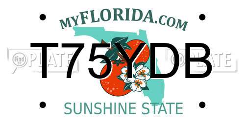 T75YDB Florida License Plate