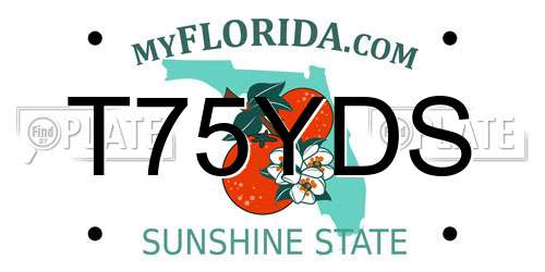 T75YDS Florida License Plate
