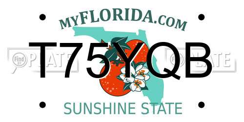 T75YQB Florida License Plate
