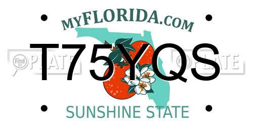 T75YQS Florida License Plate