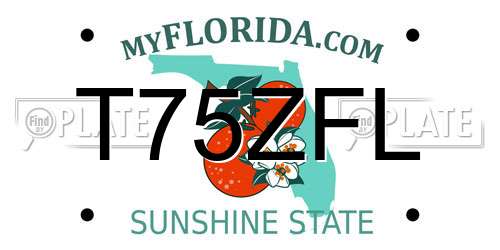 T75ZFL Florida License Plate