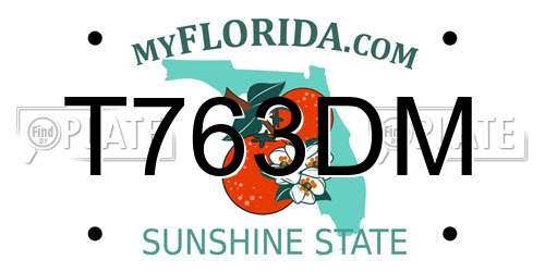 T763DM Florida License Plate