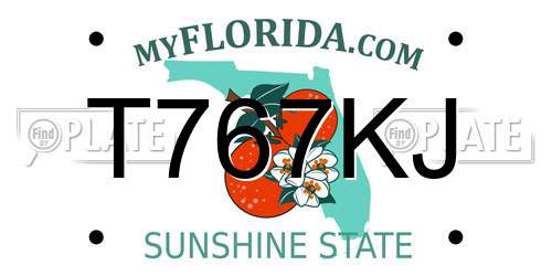 T767KJ Florida License Plate