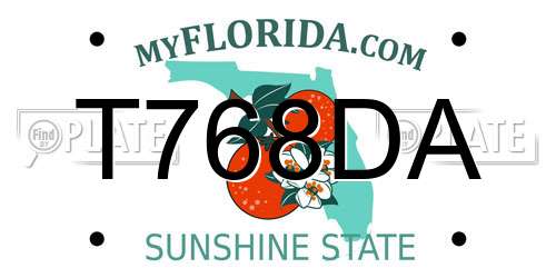 T768DA Florida License Plate