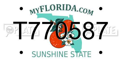 T770587 Florida License Plate