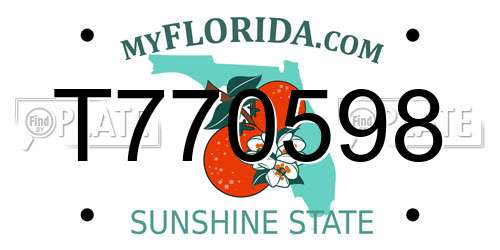 T770598 Florida License Plate