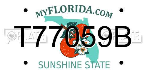 T77059B Florida License Plate