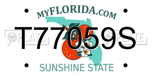 T77059S Florida License Plate