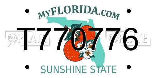 T770776 Florida License Plate