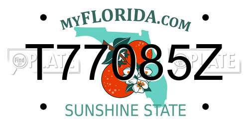 T77085Z Florida License Plate