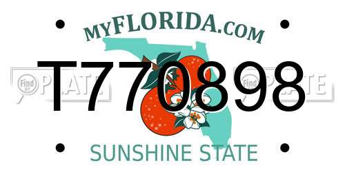 T770898 Florida License Plate