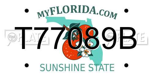 T77089B Florida License Plate