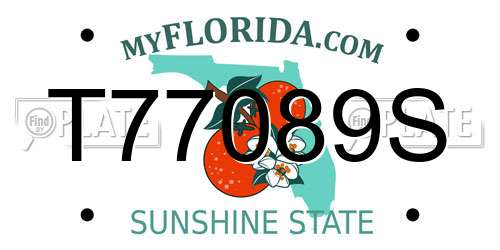 T77089S Florida License Plate