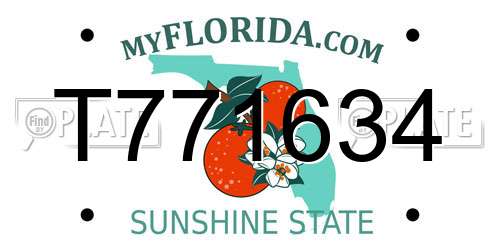T771634 Florida License Plate