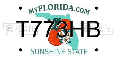 T773HB Florida License Plate