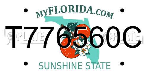 T776560C Florida License Plate
