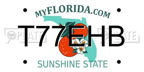 T77EHB Florida License Plate