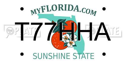 T77HHA Florida License Plate