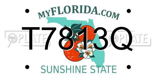 T7813Q Florida License Plate