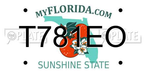 T781EO Florida License Plate