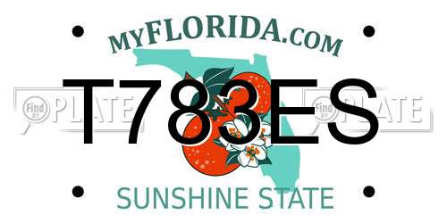 T783ES Florida License Plate