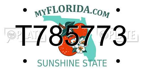 T785773 Florida License Plate
